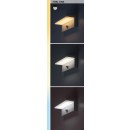 Rabalux 98077116 LED kültéri fali lámpa Zaragoza  | 9W integrált LED forrás | 850lm | 2700+4000K