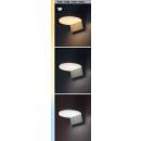 Rabalux 98077117 LED kültéri fali lámpa Batida  | 9W integrált LED forrás | 900lm | 3000+4000+6500K