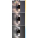 Rabalux 98077126 LED kültéri fali lámpa Darvas  | 7W integrált LED forrás | 450lm | 2700+4000K