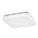 Rabalux 98077134 LED kültéri mennyezeti lámpa Lowar  | 12W integrált LED forrás | 750lm | 3000+4000+6500K