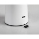 Rabalux 98077146 LED asztali lámpa Polperro  | 3W integrált LED forrás | 180lm | 2800+4000+6000K