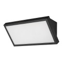 Rabalux 98077150 LED kültéri fali lámpa Rapla2  | 18W integrált LED forrás | 1700lm | 3000+4000+6500K