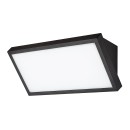 Rabalux 98077150 LED kültéri fali lámpa Rapla2  | 18W integrált LED forrás | 1700lm | 3000+4000+6500K