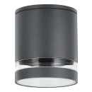 Rabalux 7817 kültéri mennyezetre szerelhető lámpa Zombor 1x35W | GU10 | IP54 - antracit