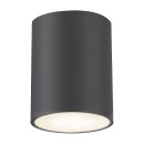 Rabalux 7819 kültéri mennyezetre szerelhető lámpa Zombor 1x35W | GU10 | IP54 - antracit