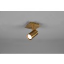 Trio 802400104 mennyezetre szerelhető vagy fali spotlámpa Marley 1x35W | GU10 - sárgaréz
