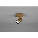 Trio 802400104 mennyezetre szerelhető vagy fali spotlámpa Marley 1x35W | GU10 - sárgaréz