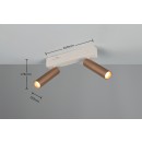 Trio T849210265 LED mennyezeti spotlámpa AMBALA  | 5W integrált LED forrás | 2x500lm | 2300+3000+4000K | barna