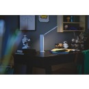 Philips 8719514420373 LED hordozható érintőképernyős asztali lámpa borostyánsárga 1x5W | 120lm | 4000K - USB, szabályozható, fehér