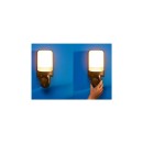 Philips WiZ 8720169072114 LED kültéri lámpa kamerával | 17W integrált LED forrás | 2700K