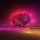 Philips Hue 8720169246621 LED karácsonyi fényfüzér Festavia | 14W integrált LED forrás