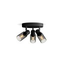 Philips 8720169299351 mennyezeti spotlámpa Palms  E14