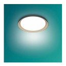 Philips 8720169301115 LED mennyezetre szerelhető lámpa Pebblo  | 10W integrált LED forrás | 1950lm | 4000K