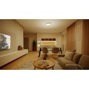 Philips 8720169301375 LED mennyezetre szerelhető lámpa Hanno | 24W integrált LED forrás | 2700lm | 2700K