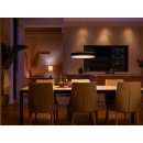 Philips Hue 41162/30/P6 LED mennyezeti függőlámpa Enrave + Hue Switch 1x33,5W | 4300lm | 2200-6500K - szabályozható, Bluetooth, White Ambiance, fekete