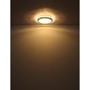 Globo 48294-22 LED mennyezetre szerelhető lámpa ABIGAIL  | 22W integrált LED forrás | 1460lm | 3000K