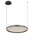 Globo BRIGGS 67186-36 LED mennyezeti függőlámpa | 36W LED | 800lm