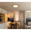 Globo 41764-24 LED mennyezeti lámpa Bruno 1x24W | 1000lm | 3000-4500-6000K - opál, fekete, barna