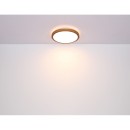 Globo 41764-24 LED mennyezeti lámpa Bruno 1x24W | 1000lm | 3000-4500-6000K - opál, fekete, barna
