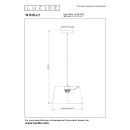 Lucide L104160166 mennyezeti függőlámpa WOOLLY  E27