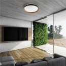 Zuma Line 003064-027926 LED mennyezetre szerelhető lámpa BOIS integrált LED forrás