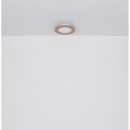 Globo 41767R LED mennyezetre szerelhető lámpa CLAY  | 24W integrált LED forrás | 1370lm | 2700-6500K