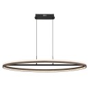 Globo DELLA 67179H1 LED mennyezeti függőlámpa | 60W LED | 2650lm