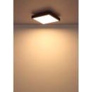 Globo DORO 416080AD1 LED mennyezetre szerelhető lámpa | 12W LED | 600lm | 3000K