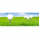 Globo 33770-3 LED kültéri napelemes lámpa Solar 1x0,06W | IP44 - leszúrható, 3 db-os készlet, fehér, ezüst