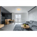 Globo 41315-12 LED mennyezeti lámpa Sajama 1x12W | 700 lm | 3000K-4200K-6400K-csillogó hatás, színrögzítés, fehér