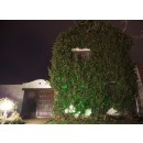 Immax 08431L LED kültéri lézerprojektor 1x7,5W | IP65 - lézer piros és zöld, fekete