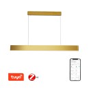 Immax 07157-G120X LED mennyezeti függőlámpa Neo Fino 1x40W | 2824lm | 2700-6500K | RGB - szabályozható, távirányítás, okos, arany