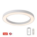Immax NEO 07213L LED mennyezetre szerelhető lámpa PASTEL | 52W integrált LED forrás