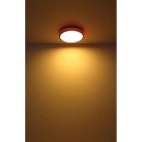 Globo 41391-40R LED mennyezetre szerelhető lámpa JAXXI  | 40W integrált LED forrás | 2000lm | 2700-6500K