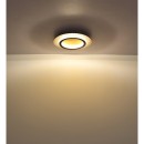 Globo JAYDEN 48042-24G LED mennyezetre szerelhető lámpa | 24W LED | 920lm | 3000+4000+6500K