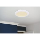 Globo 12379-24W LED mennyezeti lámpa Lasse 1x24W | 1900lm | 3000-4000-6500K - fehér