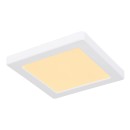Globo12380-12W LED mennyezeti lámpa Lasse 1x12W | 950lm | 3000-4000-6500K - fehér, opál