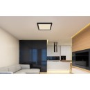 Globo 12380-24B LED mennyezeti lámpa Lasse 1x24W | 2000lm | 3000-4000-6500K - fekete, opál