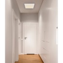 Globo 12380-24W LED mennyezeti lámpa Lasse 1x24W | 2100lm | 3000-4000-6500K - fehér, opál