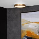 Lucide L461032002 LED mennyezetre szerelhető lámpa VIDAL  | 20W integrált LED forrás | 1700lm | 2700K