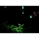 Globo LIGHTA 31919 LED kiegészítők | 3W LED | 100lm | 55000K