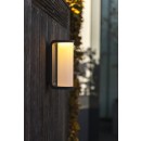 Lutec 5193602118 LED kültéri fali lámpa 1x10W Adalyn | 3000K | IP44