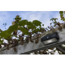 Lutec 6910601335 LED kültéri napelemes fali lámpa Arrow 1x2W | 5000K | IP44 - mozgásérzékelővel