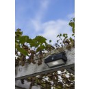Lutec 6910601335 LED kültéri napelemes fali lámpa Arrow 1x2W | 5000K | IP44 - mozgásérzékelővel