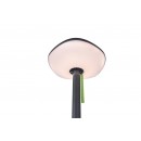 Lutec 6910802335 LED kültéri hordozható napelemes lámpa Poppy 1x8W | 3000K | IP54 - egyedi dizájn, bluetooth hangszóró