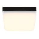 Globo 12388-8 LED mennyezetre szerelhető lámpa MATTHEW | 8W integrált LED forrás | 570lm | 4000K