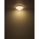 Globo 67162-50D LED mennyezetre szerelhető lámpa MUCKY  | 50W integrált LED forrás | 3965lm | 2700-6000K