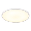 Globo NIELSEN 41566-20W LED mennyezetre szerelhető lámpa | 20W LED | 1000lm | 4000K