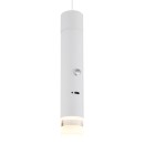 Globo 16060W LED mennyezeti függőlámpa PELO | 2W integrált LED forrás | 60lm | 3000K