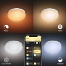 Philips Hue 40905/31/P9 mennyezeti lámpa Flourish 1x32W|2200-6500K|RGB - Bluetooth, White and Color Ambiance